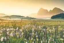 菲律宾对韩国比分足球-菲律宾对韩国比分揭晓，绿茵场上的亚洲对决与足球精神的碰撞