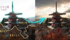 尤文图斯球员 世界杯-尤文图斯球员闪耀世界杯舞台
